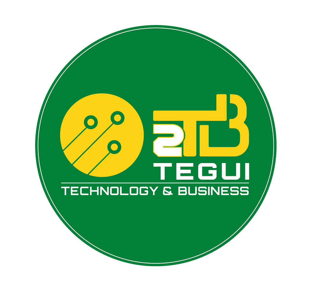 Tegui Business & Technology